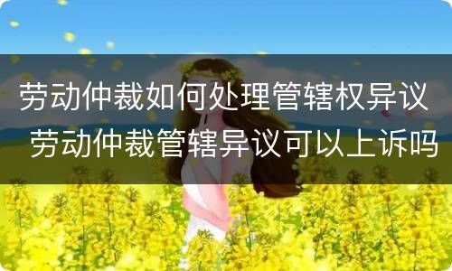 劳动仲裁如何处理管辖权异议 劳动仲裁管辖异议可以上诉吗