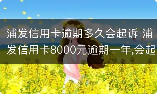 浦发信用卡逾期多久会起诉 浦发信用卡8000元逾期一年,会起诉立案吗