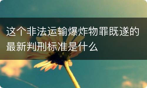 这个非法运输爆炸物罪既遂的最新判刑标准是什么