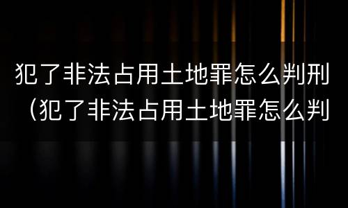 犯了非法占用土地罪怎么判刑（犯了非法占用土地罪怎么判刑的）