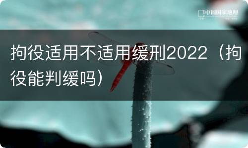 拘役适用不适用缓刑2022（拘役能判缓吗）