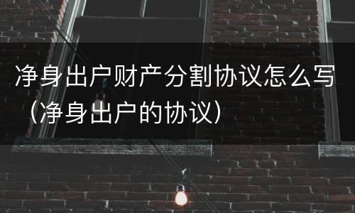 净身出户财产分割协议怎么写（净身出户的协议）