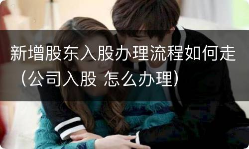 新增股东入股办理流程如何走（公司入股 怎么办理）