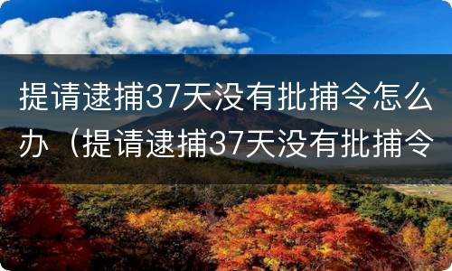 提请逮捕37天没有批捕令怎么办（提请逮捕37天没有批捕令怎么办理）
