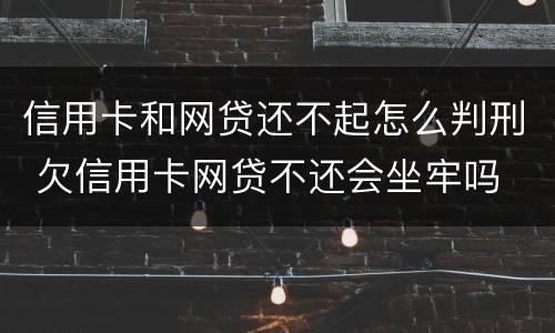 信用卡和网贷还不起怎么判刑 欠信用卡网贷不还会坐牢吗