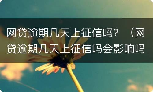 网贷逾期几天上征信吗？（网贷逾期几天上征信吗会影响吗）