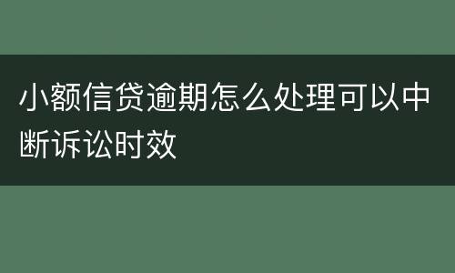 小额信贷逾期怎么处理可以中断诉讼时效