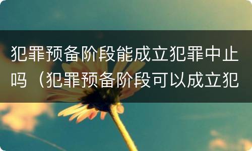 犯罪预备阶段能成立犯罪中止吗（犯罪预备阶段可以成立犯罪中止吗）