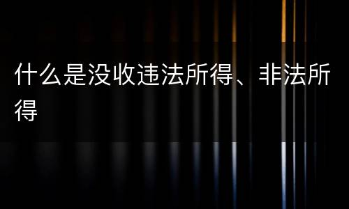 什么是没收违法所得、非法所得