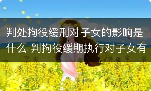判处拘役缓刑对子女的影响是什么 判拘役缓期执行对子女有影响吗