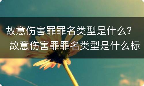 故意伤害罪罪名类型是什么？ 故意伤害罪罪名类型是什么标准