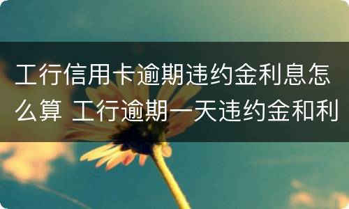 工行信用卡逾期违约金利息怎么算 工行逾期一天违约金和利息可追回吗