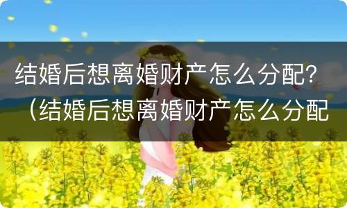 结婚后想离婚财产怎么分配？（结婚后想离婚财产怎么分配呢）