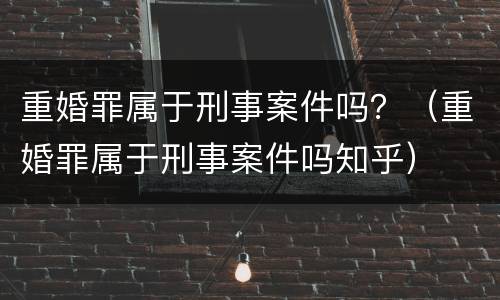 重婚罪属于刑事案件吗？（重婚罪属于刑事案件吗知乎）