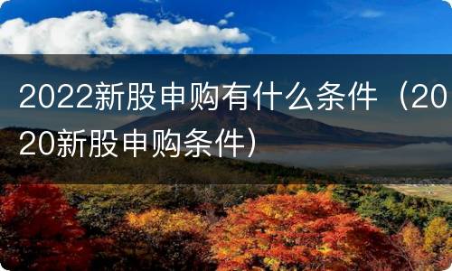 2022新股申购有什么条件（2020新股申购条件）