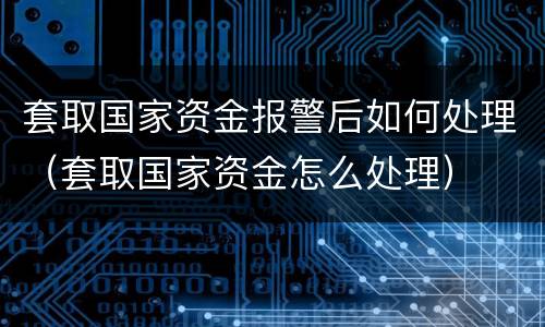 套取国家资金报警后如何处理（套取国家资金怎么处理）