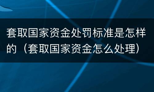 套取国家资金处罚标准是怎样的（套取国家资金怎么处理）