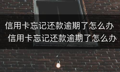 信用卡忘记还款逾期了怎么办 信用卡忘记还款逾期了怎么办会影响信用吗