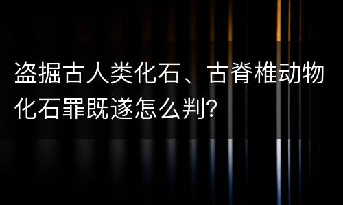盗掘古人类化石、古脊椎动物化石罪既遂怎么判？