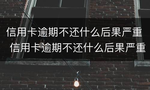 信用卡逾期不还什么后果严重 信用卡逾期不还什么后果严重了
