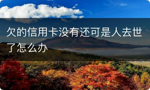 欠的信用卡没有还可是人去世了怎么办