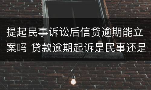 提起民事诉讼后信贷逾期能立案吗 贷款逾期起诉是民事还是刑事