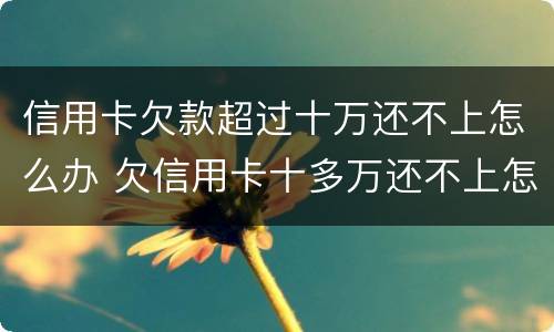 信用卡欠款超过十万还不上怎么办 欠信用卡十多万还不上怎么办