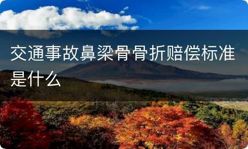 交通事故鼻梁骨骨折赔偿标准是什么