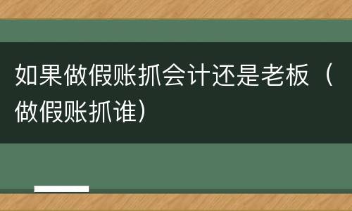 如果做假账抓会计还是老板（做假账抓谁）