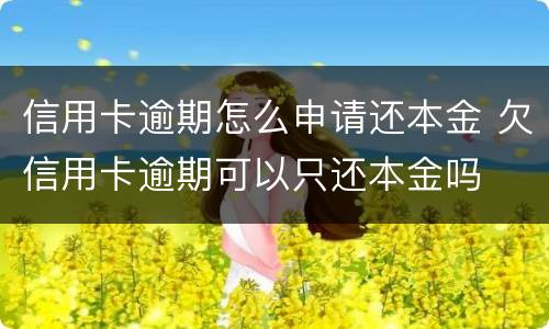 信用卡逾期怎么申请还本金 欠信用卡逾期可以只还本金吗