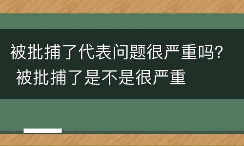 被批捕了代表问题很严重吗？ 被批捕了是不是很严重