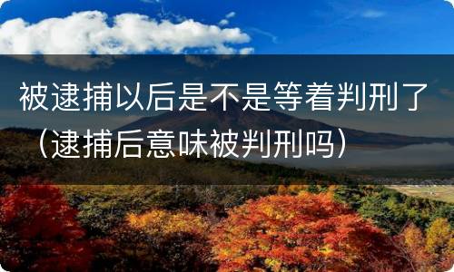 被逮捕以后是不是等着判刑了（逮捕后意味被判刑吗）