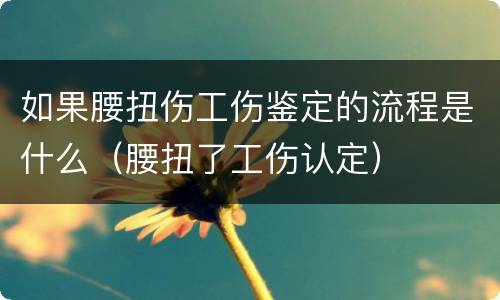 如果腰扭伤工伤鉴定的流程是什么（腰扭了工伤认定）