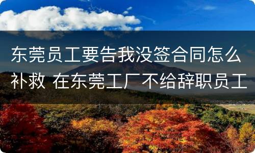 东莞员工要告我没签合同怎么补救 在东莞工厂不给辞职员工工资怎么办?