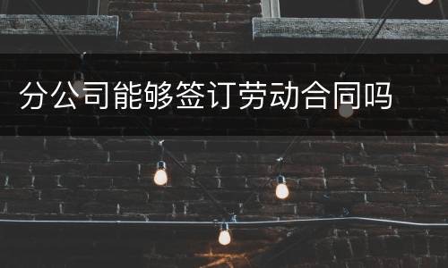 分公司能够签订劳动合同吗
