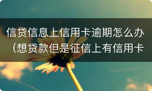 信贷信息上信用卡逾期怎么办（想贷款但是征信上有信用卡逾期记录怎么办）