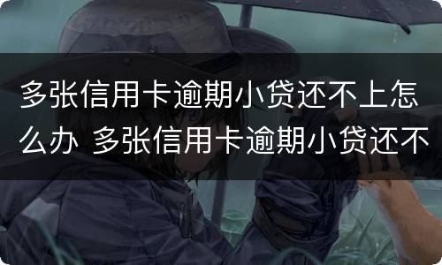 多张信用卡逾期小贷还不上怎么办 多张信用卡逾期小贷还不上怎么办呀