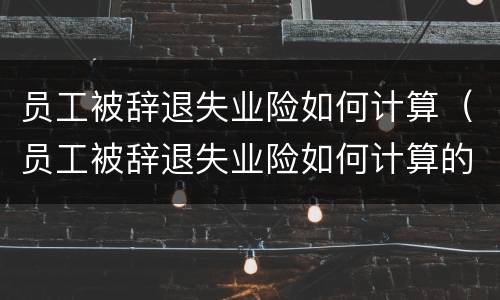 员工被辞退失业险如何计算（员工被辞退失业险如何计算的）