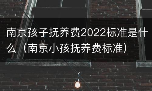 南京孩子抚养费2022标准是什么（南京小孩抚养费标准）