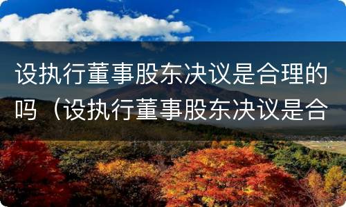 设执行董事股东决议是合理的吗（设执行董事股东决议是合理的吗为什么）
