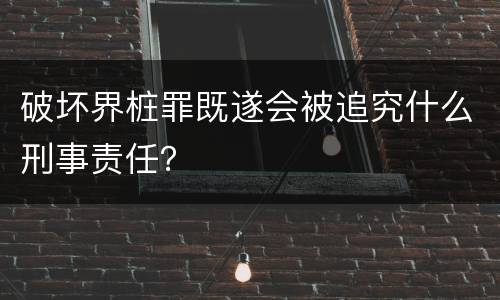 破坏界桩罪既遂会被追究什么刑事责任？