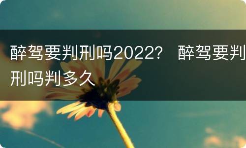 醉驾要判刑吗2022？ 醉驾要判刑吗判多久