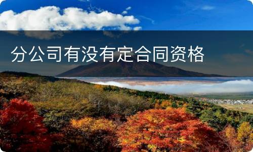 分公司有没有定合同资格