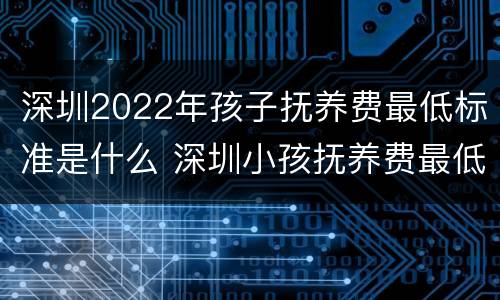 深圳2022年孩子抚养费最低标准是什么 深圳小孩抚养费最低标准2020