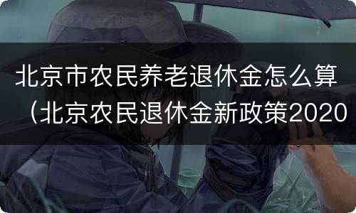 北京市农民养老退休金怎么算（北京农民退休金新政策2020）