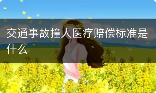 交通事故撞人医疗赔偿标准是什么