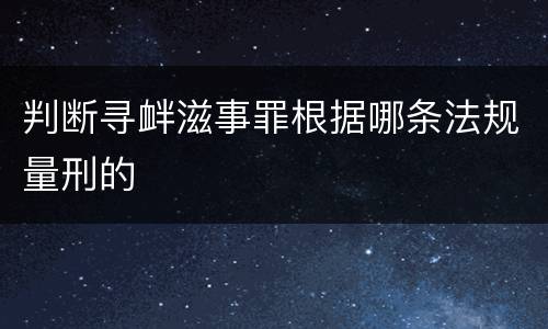 判断寻衅滋事罪根据哪条法规量刑的