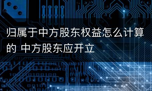 归属于中方股东权益怎么计算的 中方股东应开立