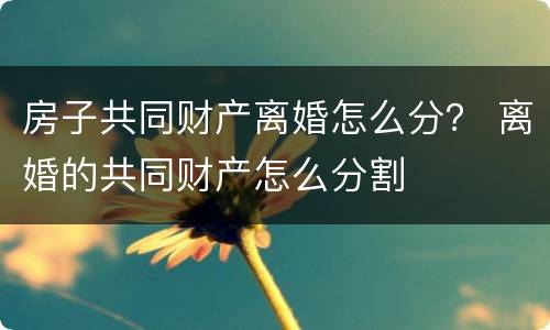 房子共同财产离婚怎么分？ 离婚的共同财产怎么分割