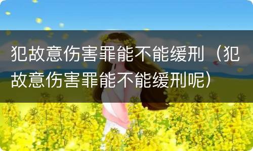 犯故意伤害罪能不能缓刑（犯故意伤害罪能不能缓刑呢）